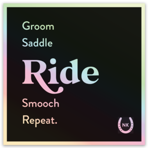 RIDE Holographic Sticker